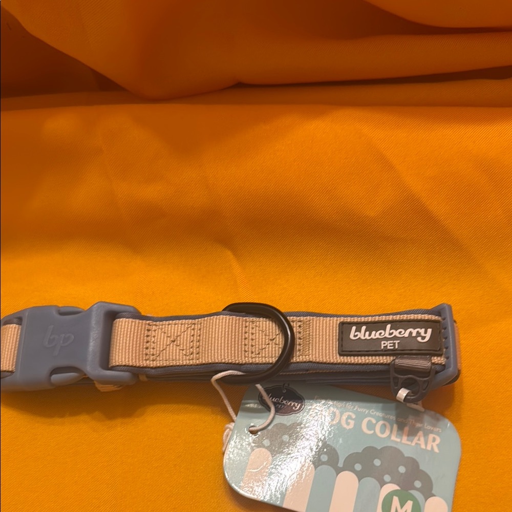 Blueberry Pet Dog Collar in Beige and Blue